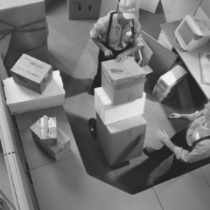CUBICLE MOVERS